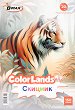 ������� �� �������� B-Max Color Lands - 