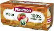 ���� �� ������ Plasmon - 