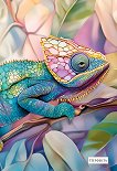 �������� � ����� ����������� - 