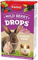 ��������� �� ������� Sanal Wild Berry Drops Sugar Free - 