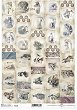   ITD Collection -  