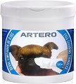         ARTERO - 