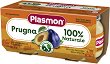 ���� �� ����� Plasmon - 