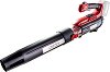   Raider 20V RDP-BL20