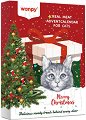       Wanpy Christmas Calendar - 