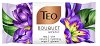 Teo Bouquet Mystic - 