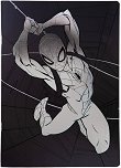 �������� � ������ ������ Spider-man - 