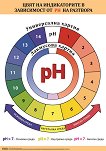 ������ ������ �����: ���� �� ������������ � ���������� �� PH �� �������� - 