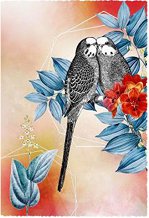 ������������� �������� - �������� - �������