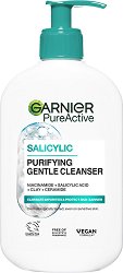 Garnier Pure Active Salicylic Purifying Gentle Cleanser - �����