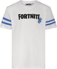   Fortnite Victory Royale - 
